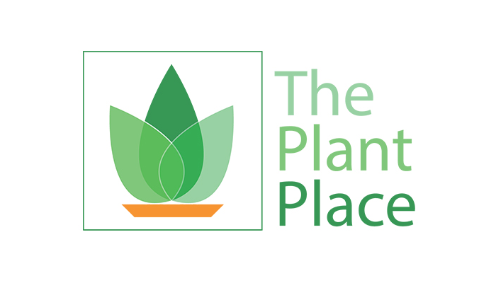 Logos and Branding image